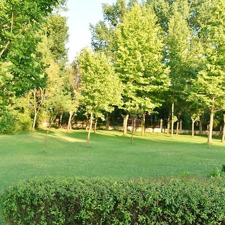 Les Magnolias Hotel Πριμόρσκο Εξωτερικό φωτογραφία